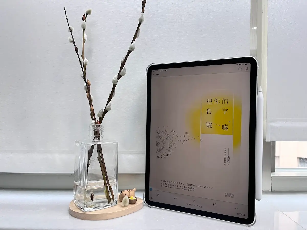 這是一台立在窗邊白色大理石窗台上的iPad Pro，螢幕顯示電子書把你的名字曬一曬的封面，平板旁邊有一個玻璃瓶，瓶中有水，還有3枝銀柳置放在木質底座上